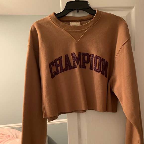 Champion Sweaters - champion cropped sweater